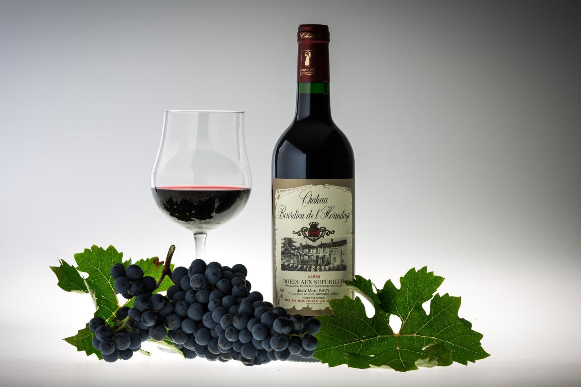 L'Hermitage D'Alienor Lugon et l'Ile du Carney Ngoại thất bức ảnh